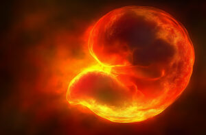 An embryo.